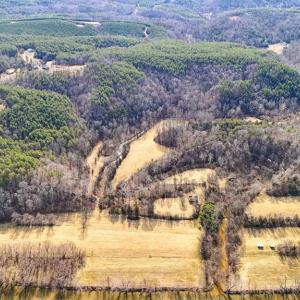 Photo #7 of 643 River Bottom Lane, Concord, VA 15.0 acres