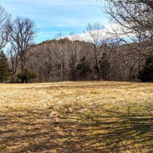 Photo #13 of 643 River Bottom Lane, Concord, VA 15.0 acres
