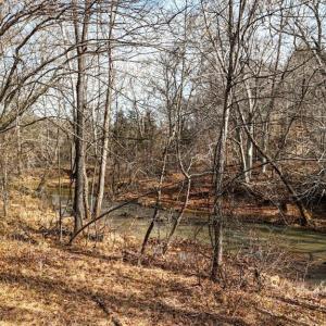 Photo #14 of 643 River Bottom Lane, Concord, VA 15.0 acres