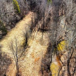 Photo #19 of 643 River Bottom Lane, Concord, VA 15.0 acres