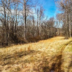 Photo #20 of 643 River Bottom Lane, Concord, VA 15.0 acres