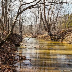 Photo #21 of 643 River Bottom Lane, Concord, VA 15.0 acres