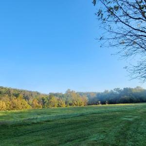 Photo #38 of 643 River Bottom Lane, Concord, VA 15.0 acres