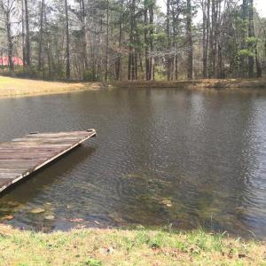 Photo #27 of 9775 E. Colonial Trl HWY, Crewe, VA 2.0 acres