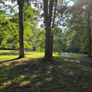 Photo #13 of 1545 Cumberland Road, Farmville, VA 7.0 acres