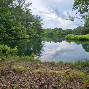 Photo #3 of 1545 Cumberland Road, Farmville, VA 7.0 acres