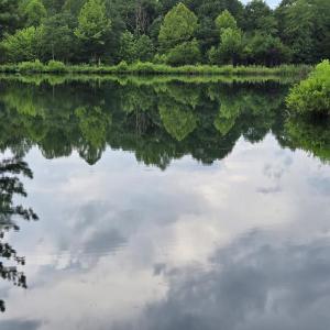 Photo #24 of 1545 Cumberland Road, Farmville, VA 7.0 acres