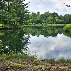 Photo #19 of 1545 Cumberland Road, Farmville, VA 7.0 acres