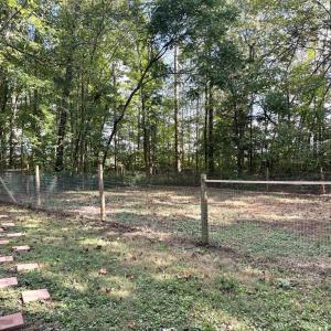 Photo #28 of 12668 Patrick Henry Hwy, Brookneal, VA 4.0 acres