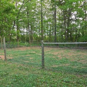 Photo #23 of 12668 Patrick Henry Hwy, Brookneal, VA 4.0 acres