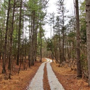 Photo #2 of 1740 Watt Abbitt, Appomattox, VA 7.3 acres