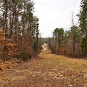 Photo #3 of 1740 Watt Abbitt, Appomattox, VA 7.3 acres