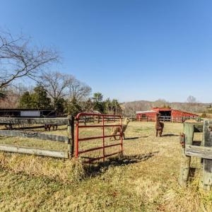 Photo #44 of 801 Purdum Mill Road, Appomattox, VA 28.3 acres