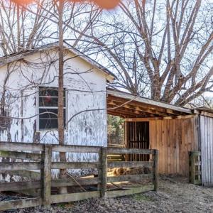 Photo #47 of 801 Purdum Mill Road, Appomattox, VA 28.3 acres