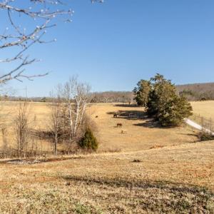 Photo #55 of 801 Purdum Mill Road, Appomattox, VA 28.3 acres