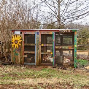 Photo #40 of 801 Purdum Mill Road, Appomattox, VA 28.3 acres