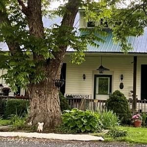 Photo #63 of 801 Purdum Mill Road, Appomattox, VA 28.3 acres