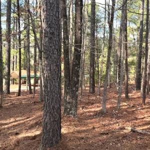 Photo #25 of 2041 Eureka Mill Road, Keysville, VA 5.0 acres