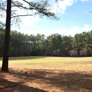 Photo #28 of 2041 Eureka Mill Road, Keysville, VA 5.0 acres