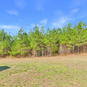 Photo #54 of 6795 Darlington Heights, Farmville, VA 1.5 acres