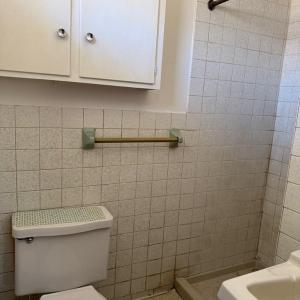 Photo #11 of 111 Page Street, Farmville, VA 1.0 acres