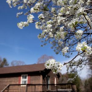 Photo #51 of 111 POPLAR HILL DR, Farmville, VA 3.0 acres