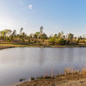 Photo #46 of 1895 Cemetery Rd, Chase City, VA 49.3 acres