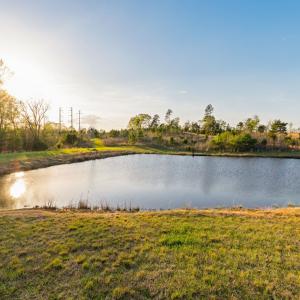 Photo #50 of 1895 Cemetery Rd, Chase City, VA 49.3 acres