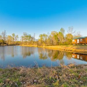 Photo #54 of 1895 Cemetery Rd, Chase City, VA 49.3 acres