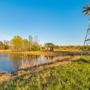 Photo #57 of 1895 Cemetery Rd, Chase City, VA 49.3 acres