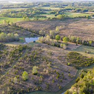 Photo #62 of 1895 Cemetery Rd, Chase City, VA 49.3 acres