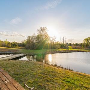 Photo #54 of 1895 Cemetery Rd, Chase City, VA 49.3 acres