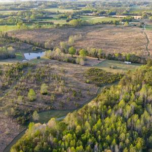 Photo #63 of 1895 Cemetery Rd, Chase City, VA 49.3 acres