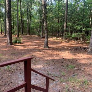View from Deck off Kitchen