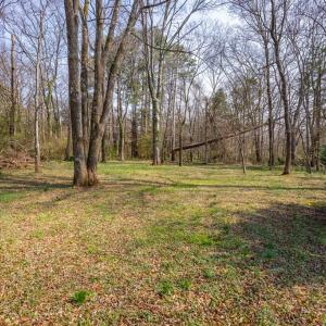 Photo #73 of 441 Legrande Ave, Charlotte Court House, VA 3.0 acres