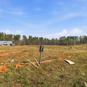 Photo #54 of 407 Ferry Landing Drive, Boydton, VA 3.0 acres