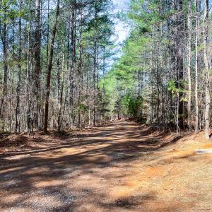 Photo #48 of 615 Sandie Point Dr, Clarksville, VA 28.7 acres