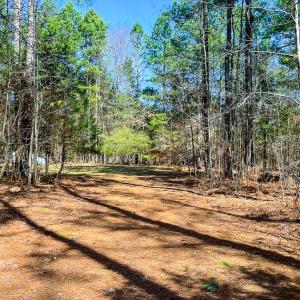 Photo #49 of 615 Sandie Point Dr, Clarksville, VA 28.7 acres