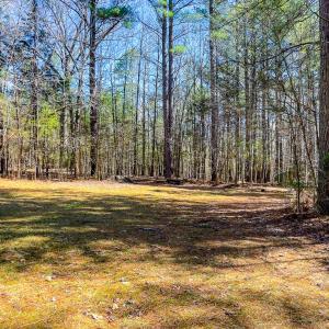 Photo #50 of 615 Sandie Point Dr, Clarksville, VA 28.7 acres