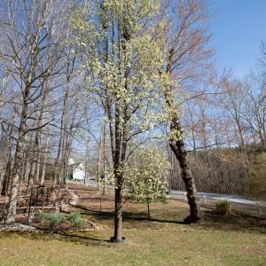 Photo #58 of 110 Jesses Way, Farmville, VA 0.6 acres