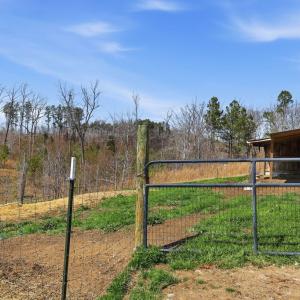 Photo #11 of 484 Dobbins, Blackstone, VA 23.5 acres