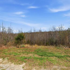 Photo #13 of 484 Dobbins, Blackstone, VA 23.5 acres