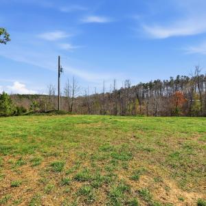 Photo #16 of 484 Dobbins, Blackstone, VA 23.5 acres