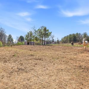 Photo #17 of 484 Dobbins, Blackstone, VA 23.5 acres