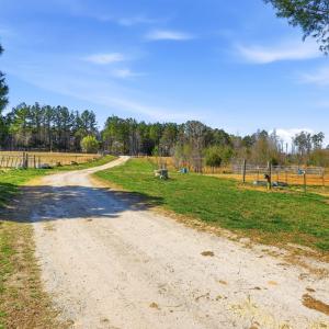 Photo #18 of 484 Dobbins, Blackstone, VA 23.5 acres