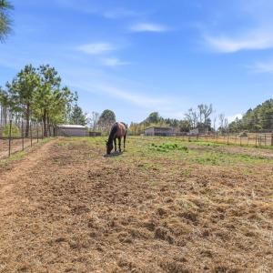 Photo #19 of 484 Dobbins, Blackstone, VA 23.5 acres