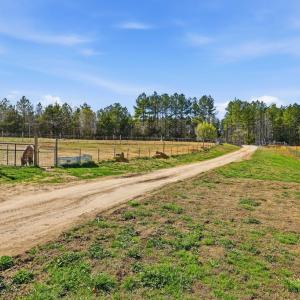 Photo #22 of 484 Dobbins, Blackstone, VA 23.5 acres