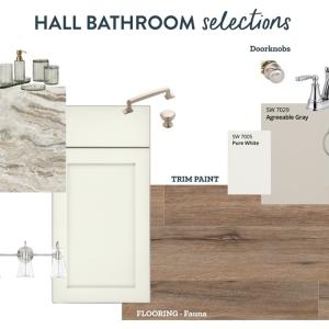 Hall Bathroom, Hall Bathroom Design Selections