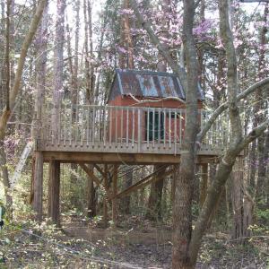 Photo #37 of 1925 Hill Cross Road, Charlotte Court House, VA 30.0 acres