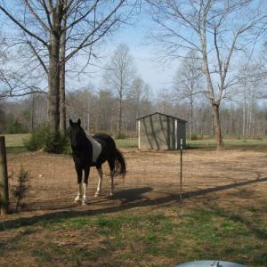 Photo #38 of 1925 Hill Cross Road, Charlotte Court House, VA 30.0 acres